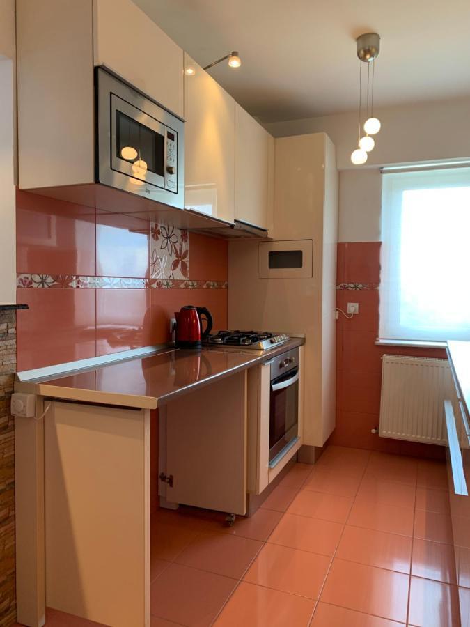 Sunny Central Apartments Suceava Bagian luar foto